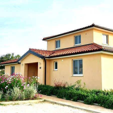 Vila Dubravka - Schoen Und Komfortabel Inmitten Von Olivenbaeumen Und Weinbergen Mit Whirlpool Valtura المظهر الخارجي الصورة